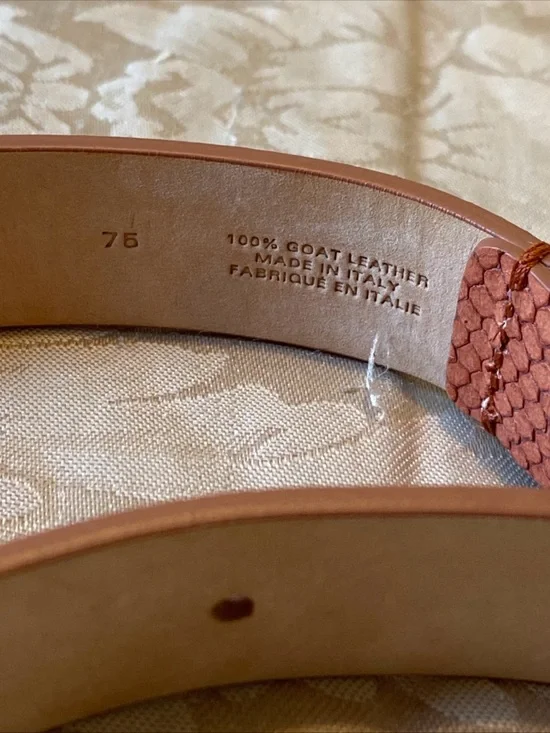 Isabel Marant Rust Brown Textured Goat Leather Belt - Picture 6 of 11